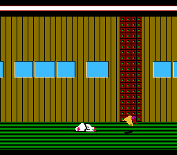 NES Screenshots