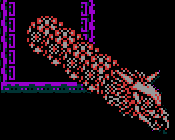 NES Screenshots
