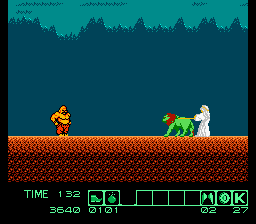 NES Screenshots