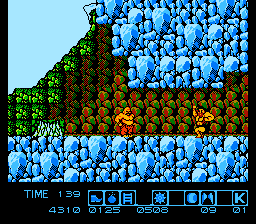 NES Screenshots