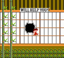 NES Screenshots