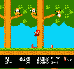 NES Screenshots