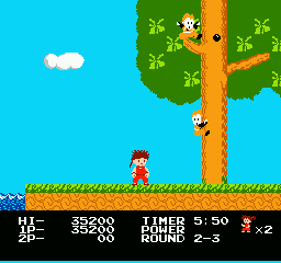 NES Screenshots