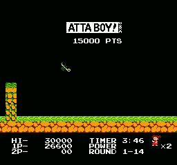 NES Screenshots