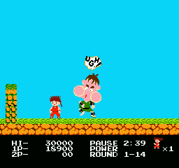 NES Screenshots