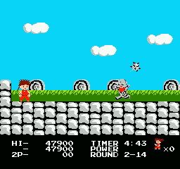 NES Screenshots