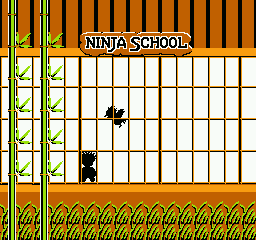 NES Screenshots