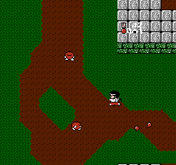 FDS Screenshots