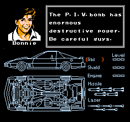 NES Screenshots