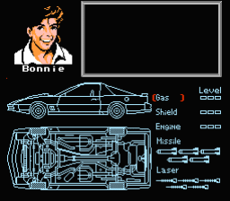 NES Screenshots