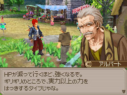 DS Screenshots