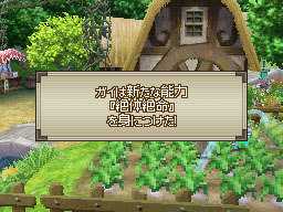 DS Screenshots