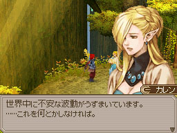 DS Screenshots