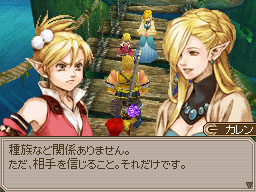 DS Screenshots