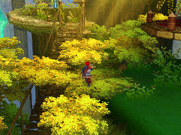 DS Screenshots