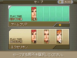 DS Screenshots