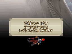 DS Screenshots