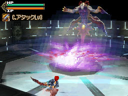 DS Screenshots