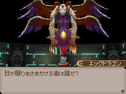 DS Screenshots