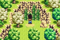 GBA Screenshots