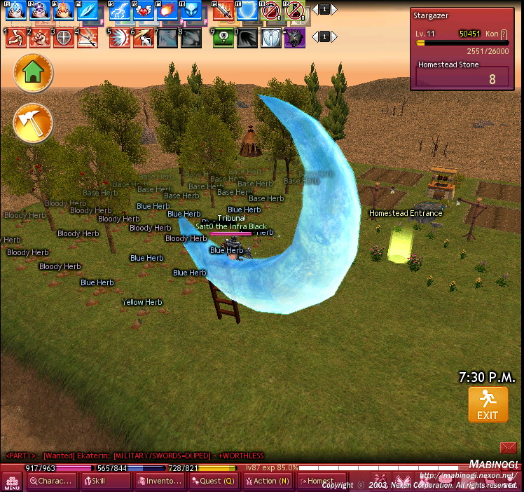 Mabinogi