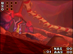 DS Screenshots