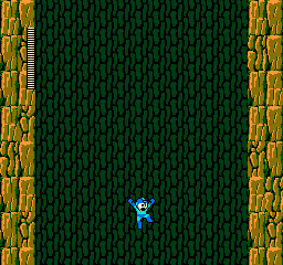 NES Screenshots