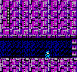 NES Screenshots