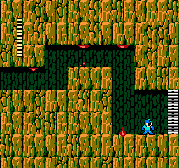 NES Screenshots