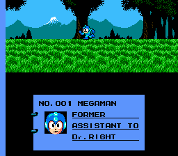 NES Screenshots