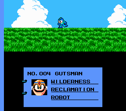 NES Screenshots