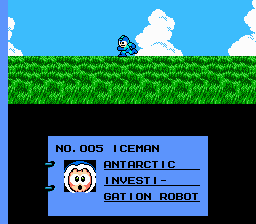 NES Screenshots