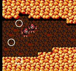 NES Screenshots