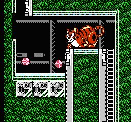 NES Screenshots