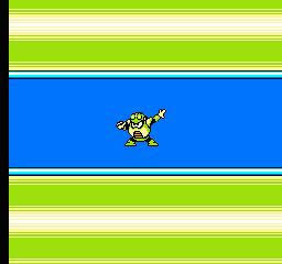 NES Screenshots
