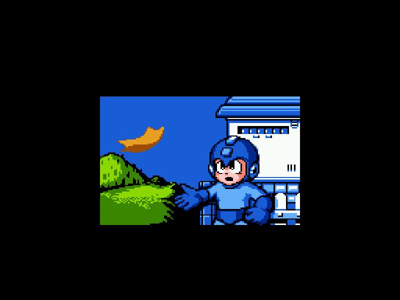 NES Screenshots