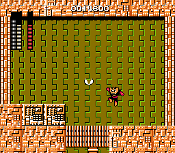 NES Screenshots