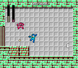 NES Screenshots