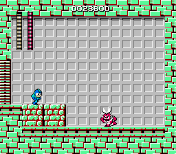 NES Screenshots