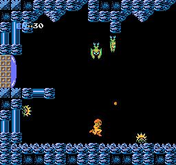 NES Screenshots