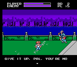 NES Screenshots