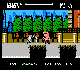 NES Screenshots