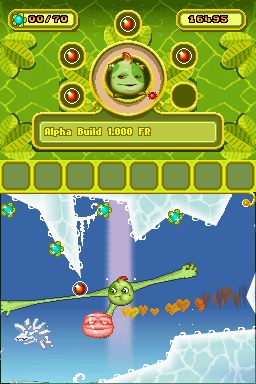 DS Screenshots