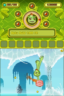 DS Screenshots