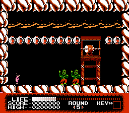 NES Screenshots