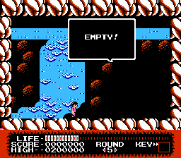 NES Screenshots