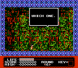 NES Screenshots