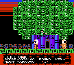 NES Screenshots
