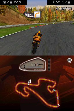 DS Screenshots