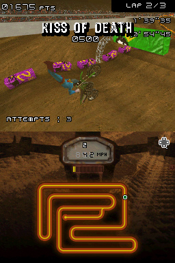 DS Screenshots